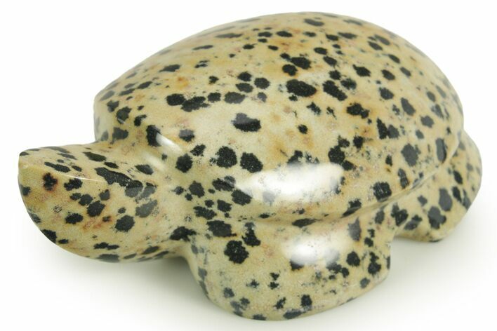Carved Dalmatian Stone Turtle - Mexico #366269